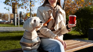 Dog sitting et services pour enfants