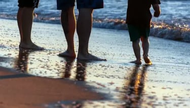 Anna Maria Island family travel guide