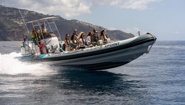 xpoint brand new boat