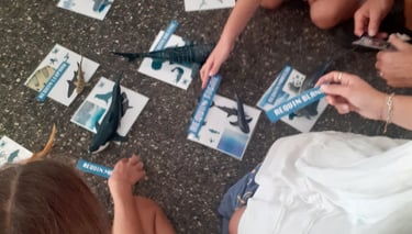 des enfants qui jouent avec des figurines requins et des cazrtes