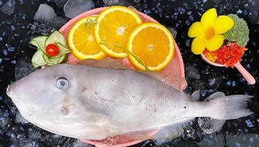 Frozen-Leatherjacket-Fish-Filefish