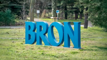 Accueil Bron