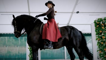 a woman in a red riding skirt Chapskirt dress riding a horse
