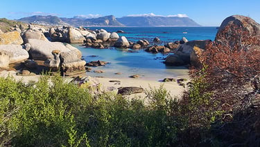 boulders beach with a view of the sea