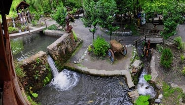 Sapanca & Masukiye