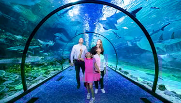 National Aquarium Abu Dhabi