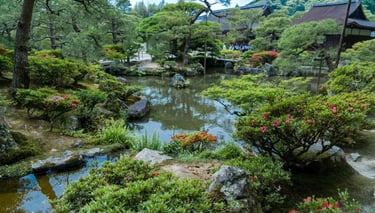 Japan’s five historic capitals tour: Kamakura, Hakone, Mt. Fuji, Nara, Kyoto, and Osaka.
