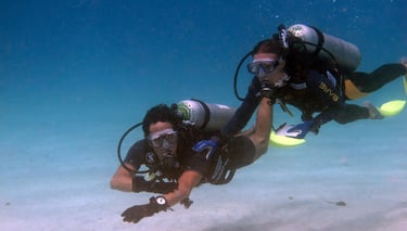 PADI Underwater Navigator