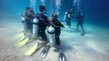 PADI dive course at tioman island