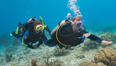 PADI Underwater Navigator