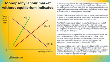IB Economics Unemployment Monopsony Labour Market Without Equilibrium