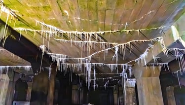Stalactites hanging from the damp, mossy concrete ceiling of the Lincoln Memorial Undercroft in Washington DC.