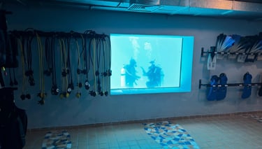 ohana-divers-marsa-alam-dry-room-pool-view