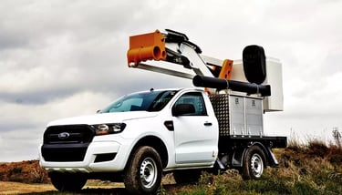 pick up con cesta elevadora