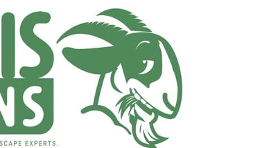oasis lawns logo
