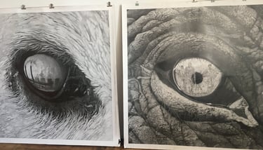 Oeil d'ours polaire et d'éléphant