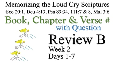 Review B (Days 1-7) with Q