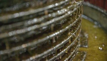 Close-up of golden extra virgin olive oil dripping through traditional mats in a hydraulic press.