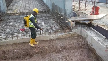 Anti Termite Treatment Pest Control Service