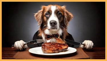 elegant gekleideter Hund sitzt am Tisch und isst Steak vom Teller mit Besteck