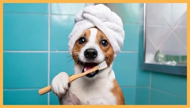 glücklicher Hund beim Zähneputzen vor dem Badezimmerspiegel mit einer Zahnbürste in der Pfote