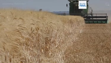 L'UE suspend les droits de douane pour les céréales en provenance d'Ukraine
