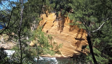 excursion sud sauvage au cap jaune