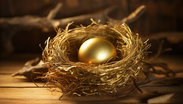 gold retirement nest egg and if its better than a 401k