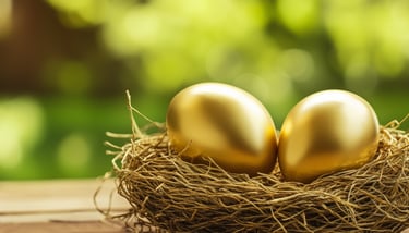 retirement nest egg