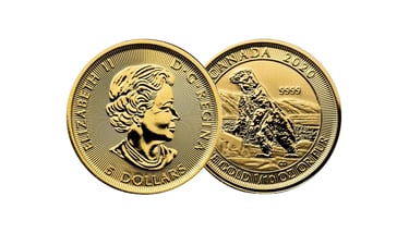 gold canadian polar bear coin