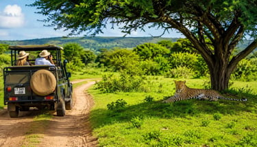 Leopard sighting at Serengeti National Park, Tanzania