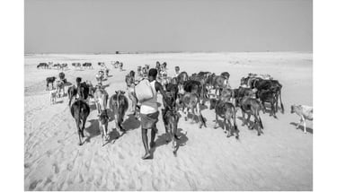 Sujan Sarkar Photography 0069