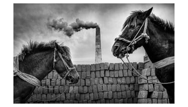 Sujan Sarkar Photography 0076