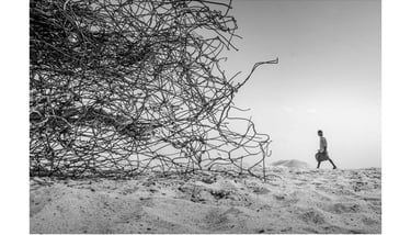 Sujan Sarkar Photography 0067