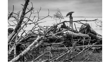 Sujan Sarkar Photography 0079