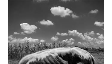 Sujan Sarkar Street Photography 103