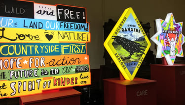 Lightboxes with bright colours, words of protest and nature images