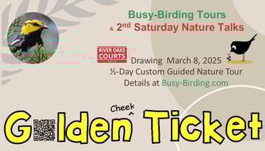 golden ticket