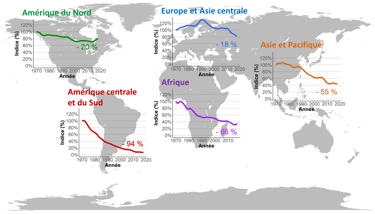 Évolution de l'indice planète vivante selon la zone géographique