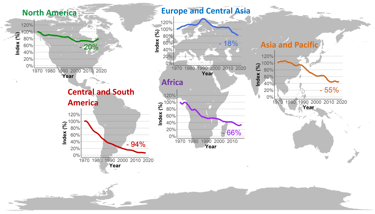 Evolution of the living planet index according to geographical area