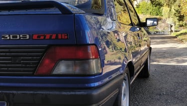 309 GTI16