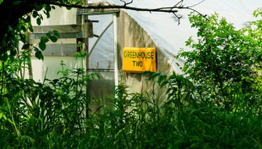 a greenhouse with a sign that says Greenhouse Two