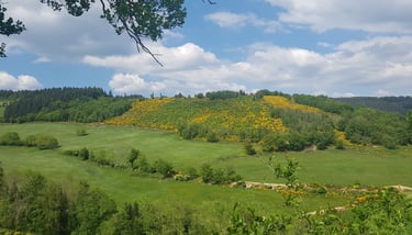 Vue du site aujourd'hui