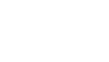 Dirección y gestión de proyecto