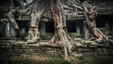 Preah Khan temple. Cambodia.