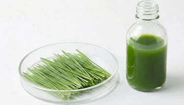 Fresh green wheatgrass blades in a glass petri dish next to a bottle of wheatgrass juice on a white background.