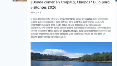 seccion de blogs profesioaneles creada dentro de una pagina web