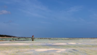 a person standing on a beach of Zanzibar