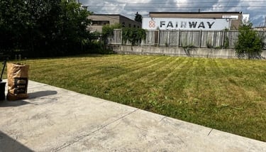 a yard with a lawn and a bag of luggage