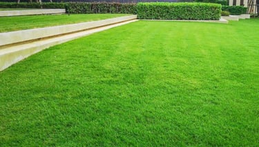 Entretien de jardins DG Services à Neuchâtel - tonte, taille et aménagement paysager durable